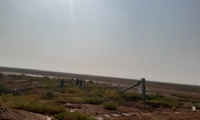 خسارت تندباد و بارندگی شدید به شبکه توزیع برق شوشتر
